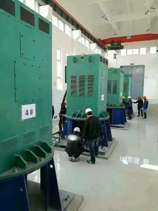 海珠某污水处理厂使用我厂的立式高压电机安装现场生产厂家