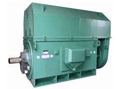 海珠Y系列6KV高压电机